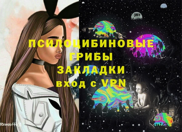 спиды Алексеевка