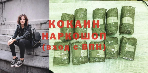 шишки Алексин