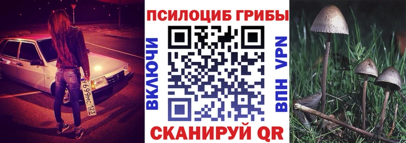 где купить наркоту Бабушкин Псилоцибиновые грибы мухоморы